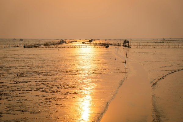 Decouvertes En Tourisme