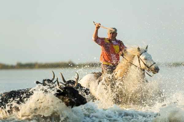 Quelles croisières offrent des excursions pour découvrir les marais salants en Camargue?